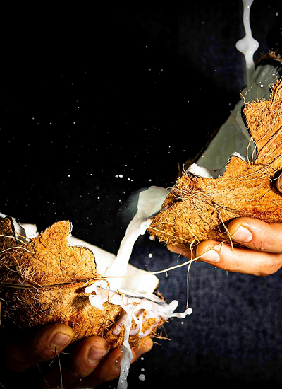 Conoce la escencia detrás del coco